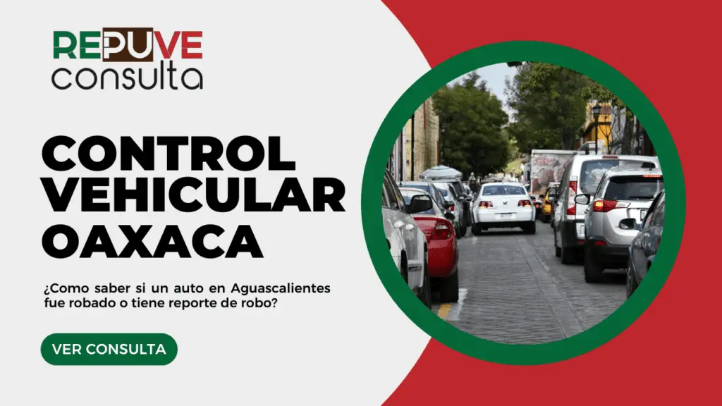 Control Vehicular Oaxaca