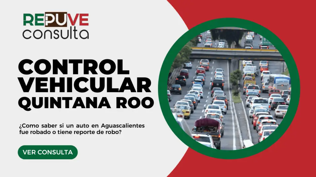 Control Vehicular Quintana Roo