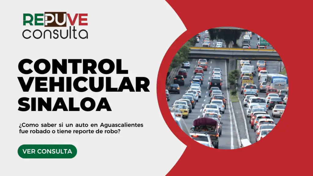 Control Vehicular Sinaloa