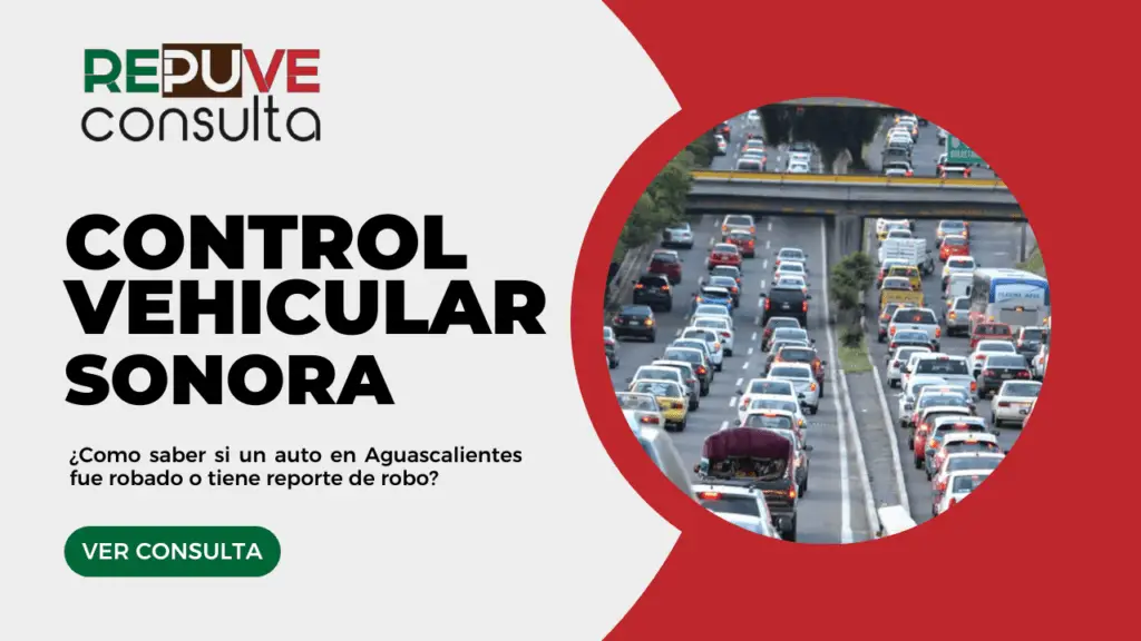 Control Vehicular Sonora