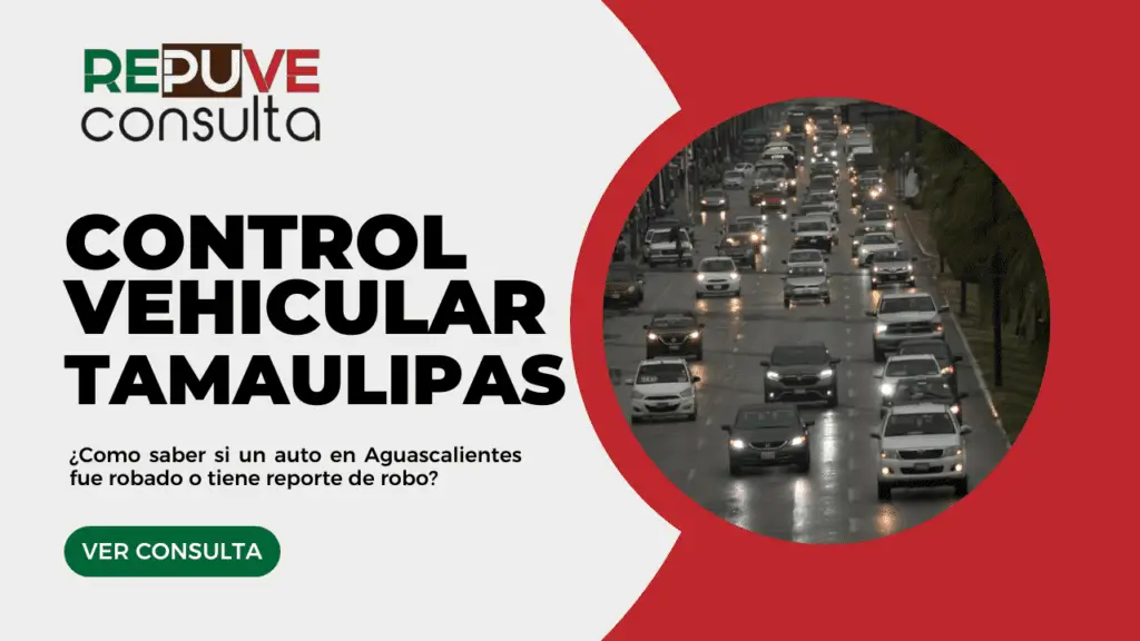 Control Vehicular Tamaulipas