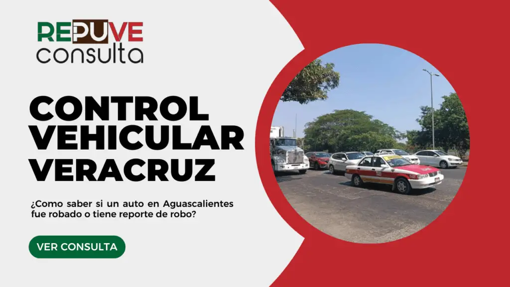 Control Vehicular Veracruz