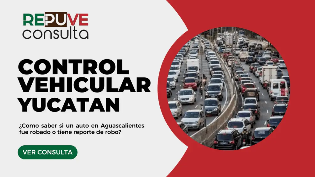 Control Vehicular Yucatán